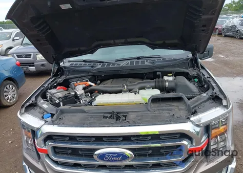 2023 Ford F-150 Xlt z USA, uszkodzony, nr VIN 1FTFW1ED0PFD02003